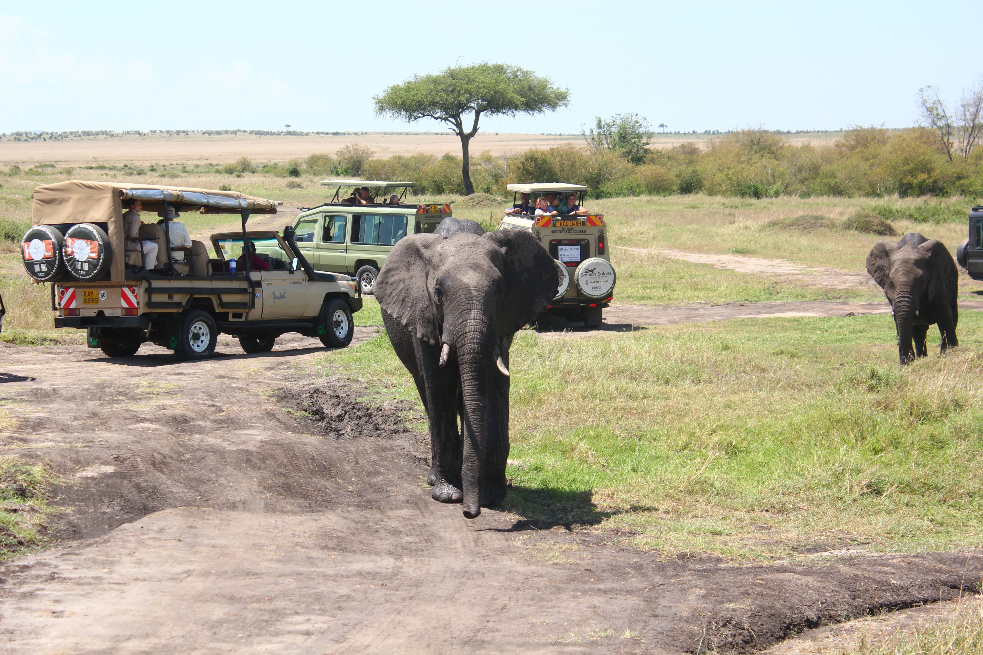 Aquila Game Reserve